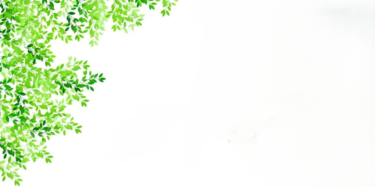 Botanical Canopy Background